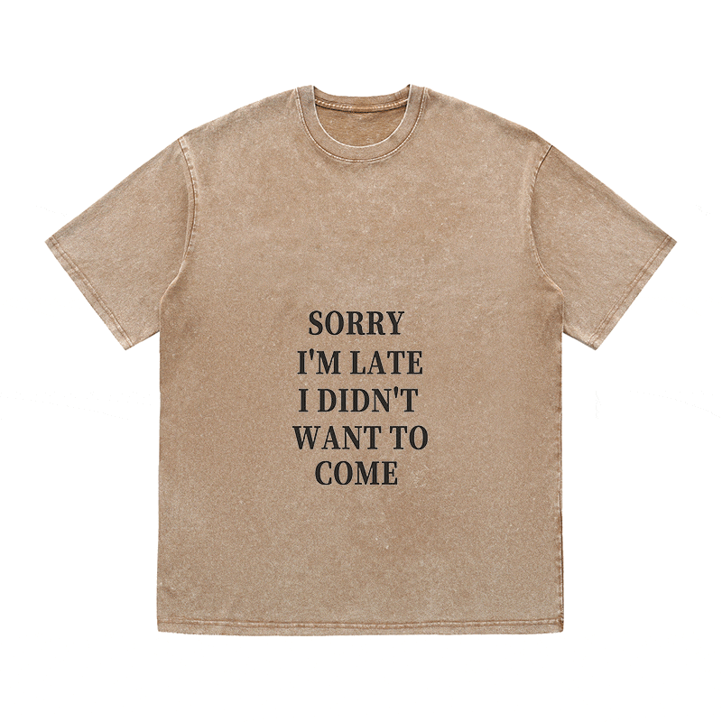 RDMCLOTHINGART tapestry hoodie SLOGAN HEAVY COTTON TEES-9670
